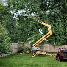 Lawn Grading and Leveling in Little Flock, AR